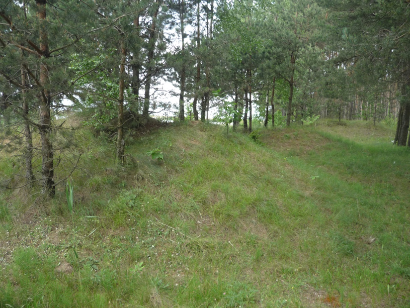 Агульны выгляд курганнага могільніка