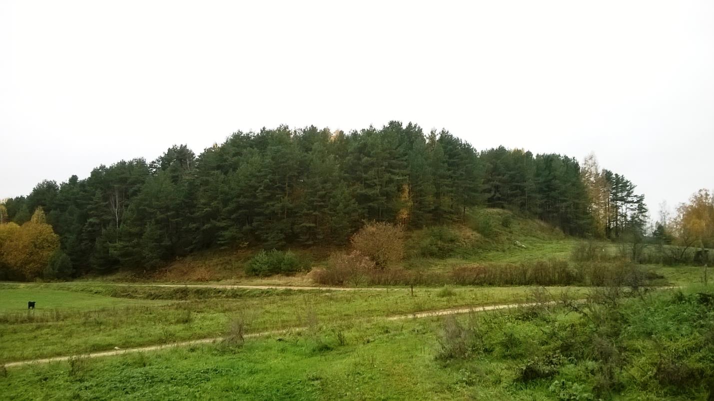 Сучасны выгляд гарадзішча