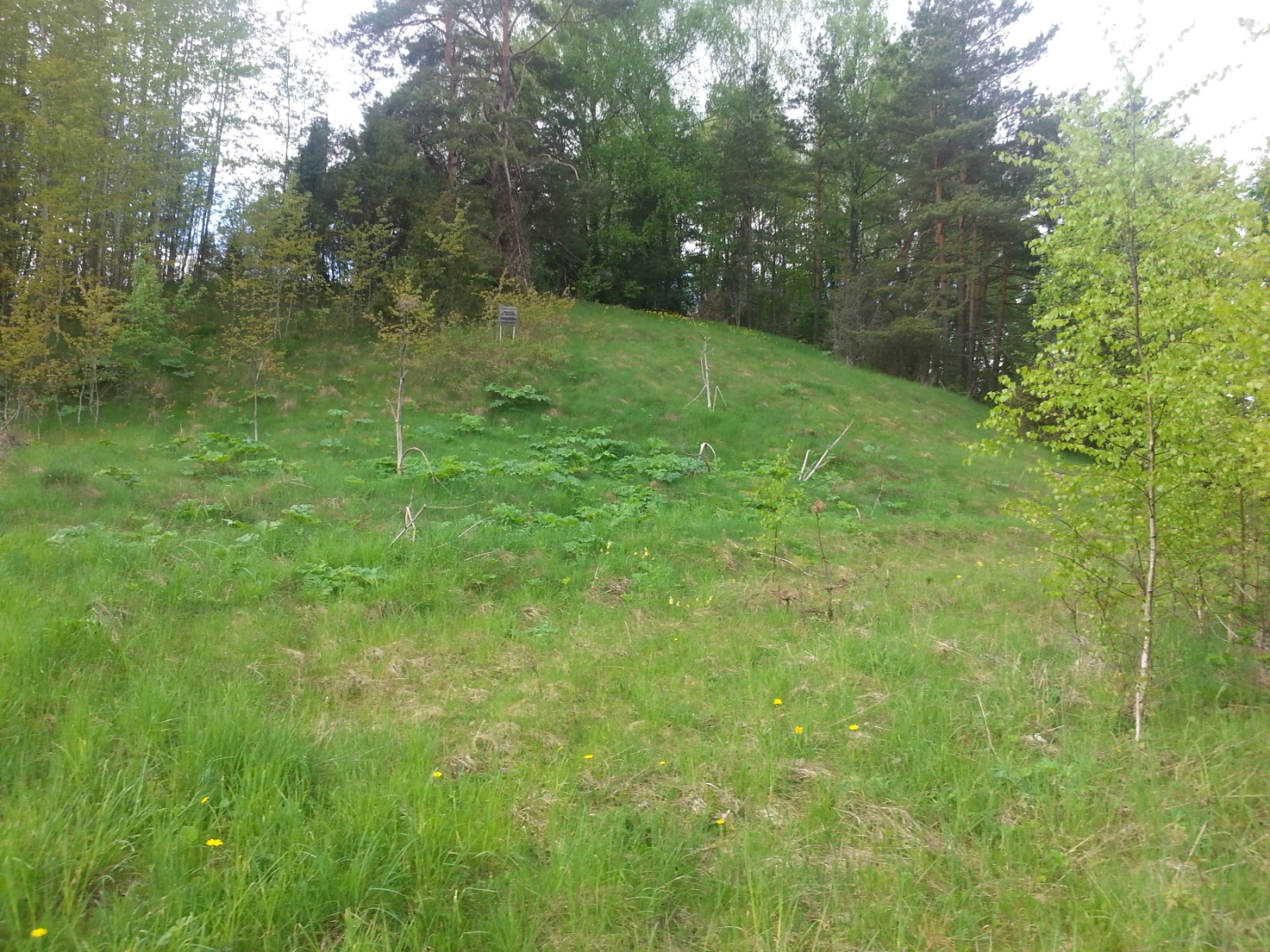 Гарадзішча VIІ ст.да н.э. –IV ст.н.э.