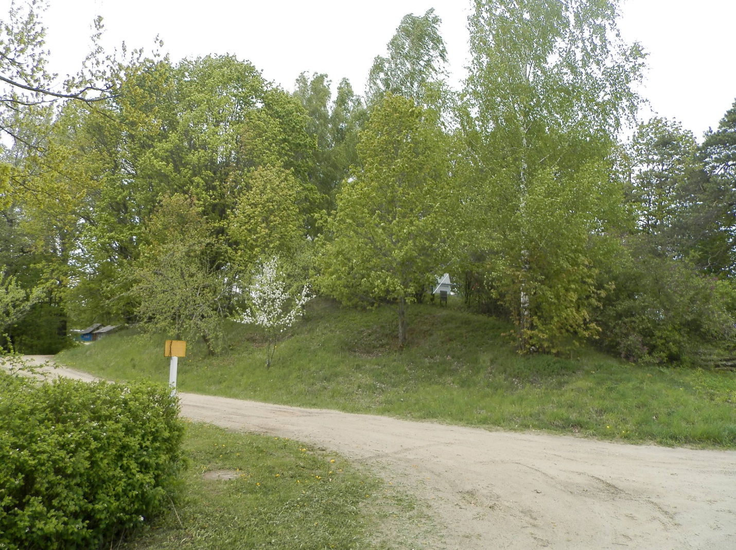 Гарадзішча ў в. Замошша