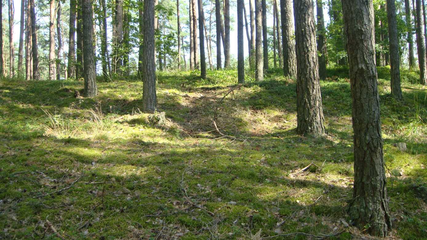 Гарадзішча