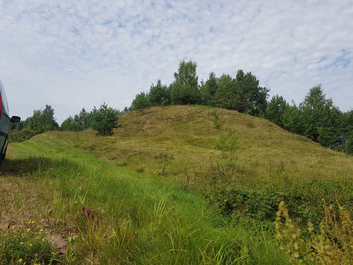 Сучасны выгляд гарадзішча
