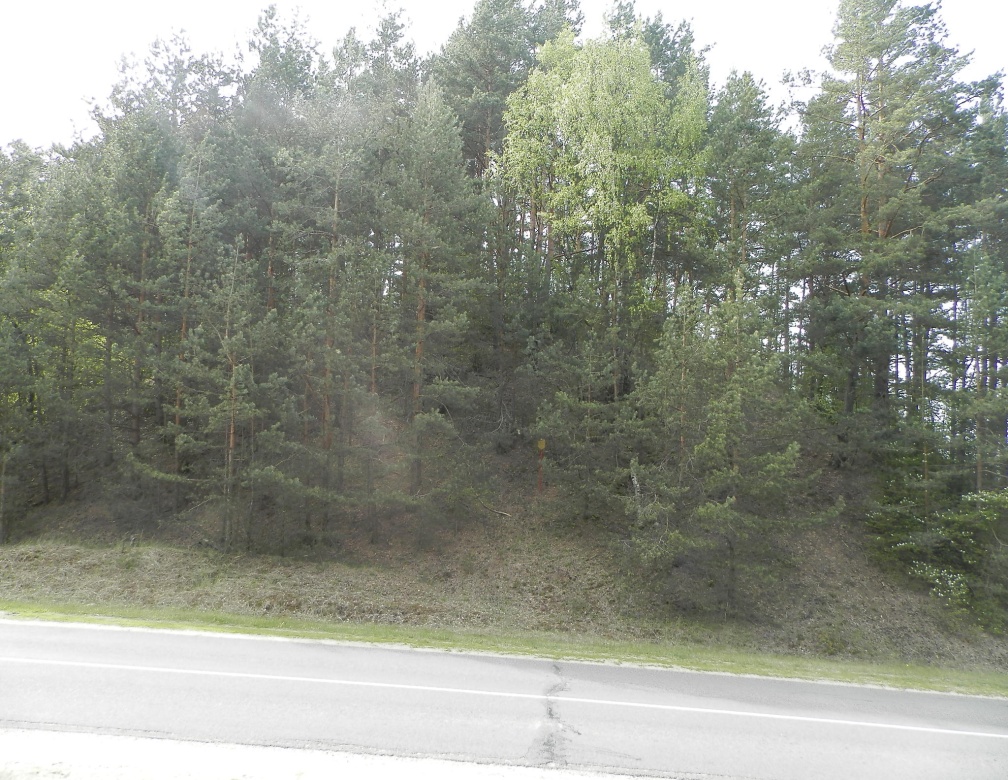 Выгляд з боку дарогі Слабодка-Браслаў (гарадзішча-1)