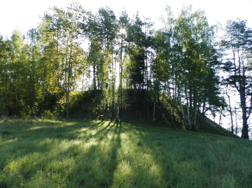 Паўночна-заходні выгляд гарадзішча