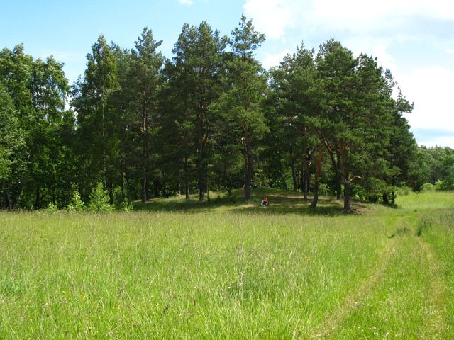 Паўднёва-заходні бок могільніка. Сучасны выгляд