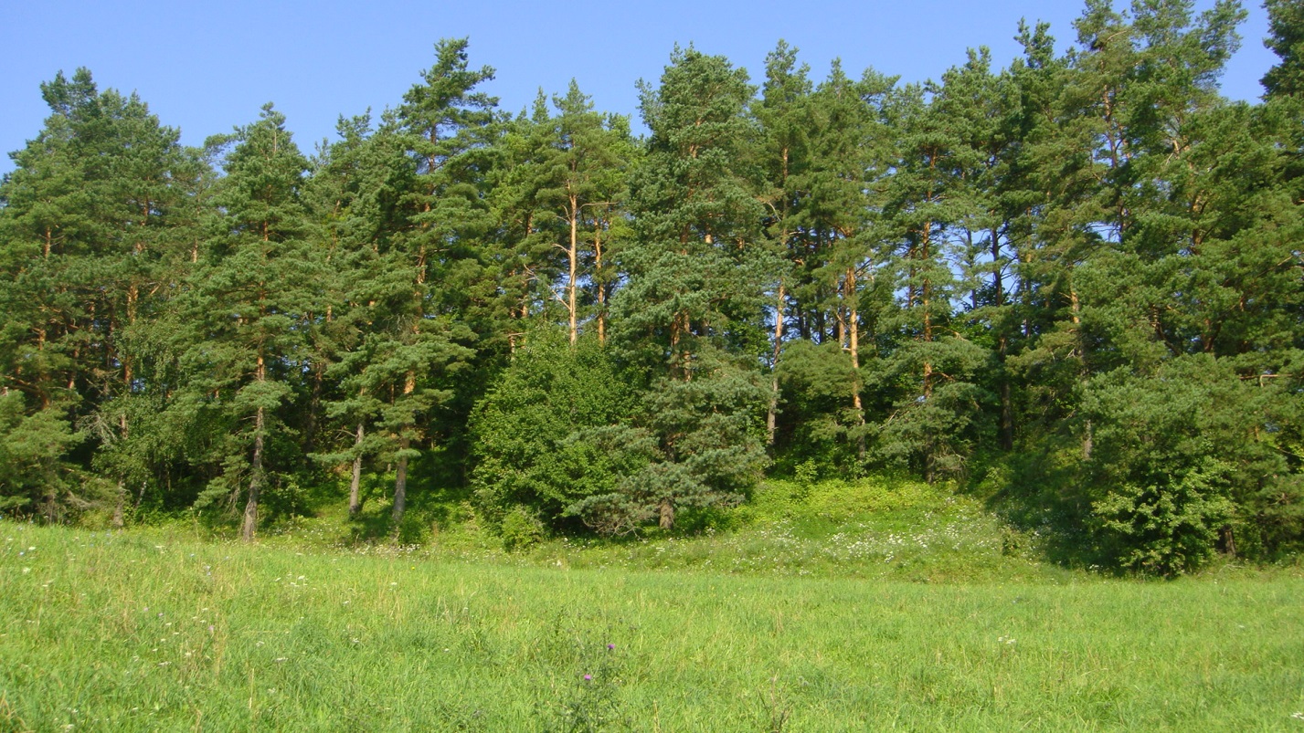 Гарадзішча