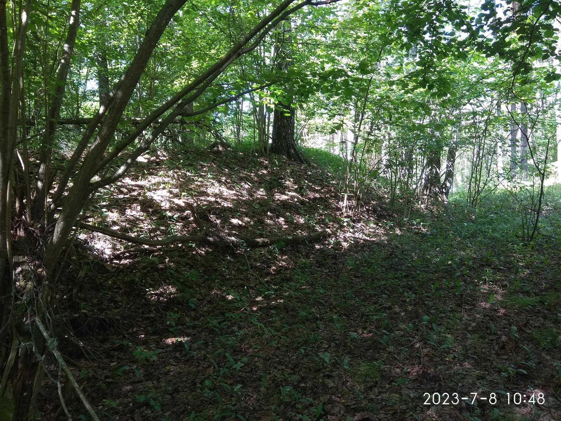 Паўночны край гарадзішча