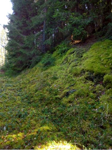 Усходні схіл гарадзішча