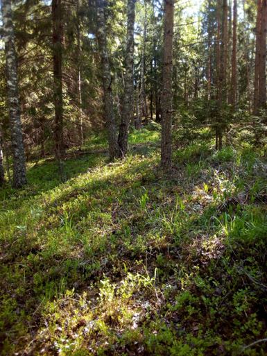 Від на гардзішча (усходні бок)