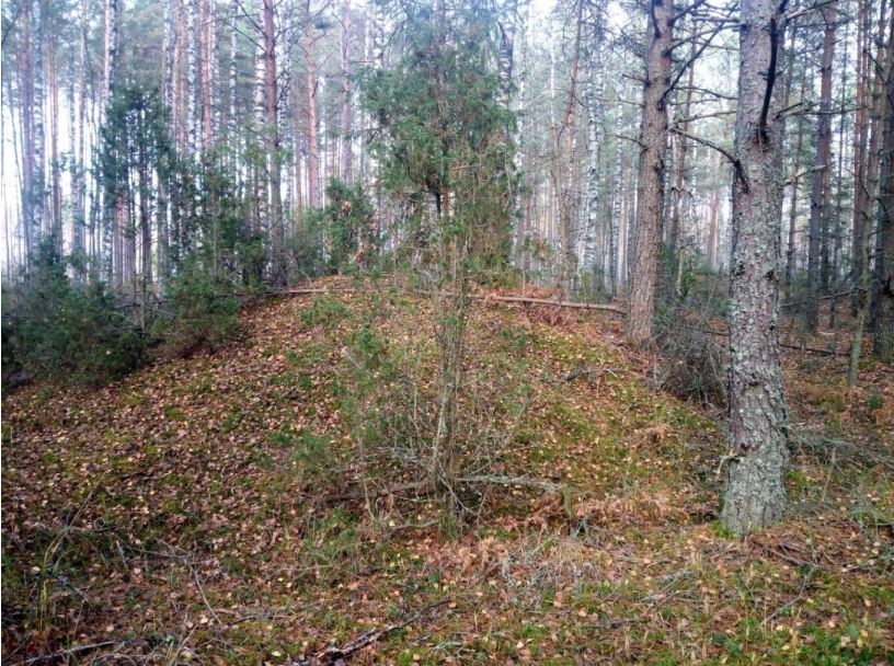 Курган у цэнтральнай частцы групы