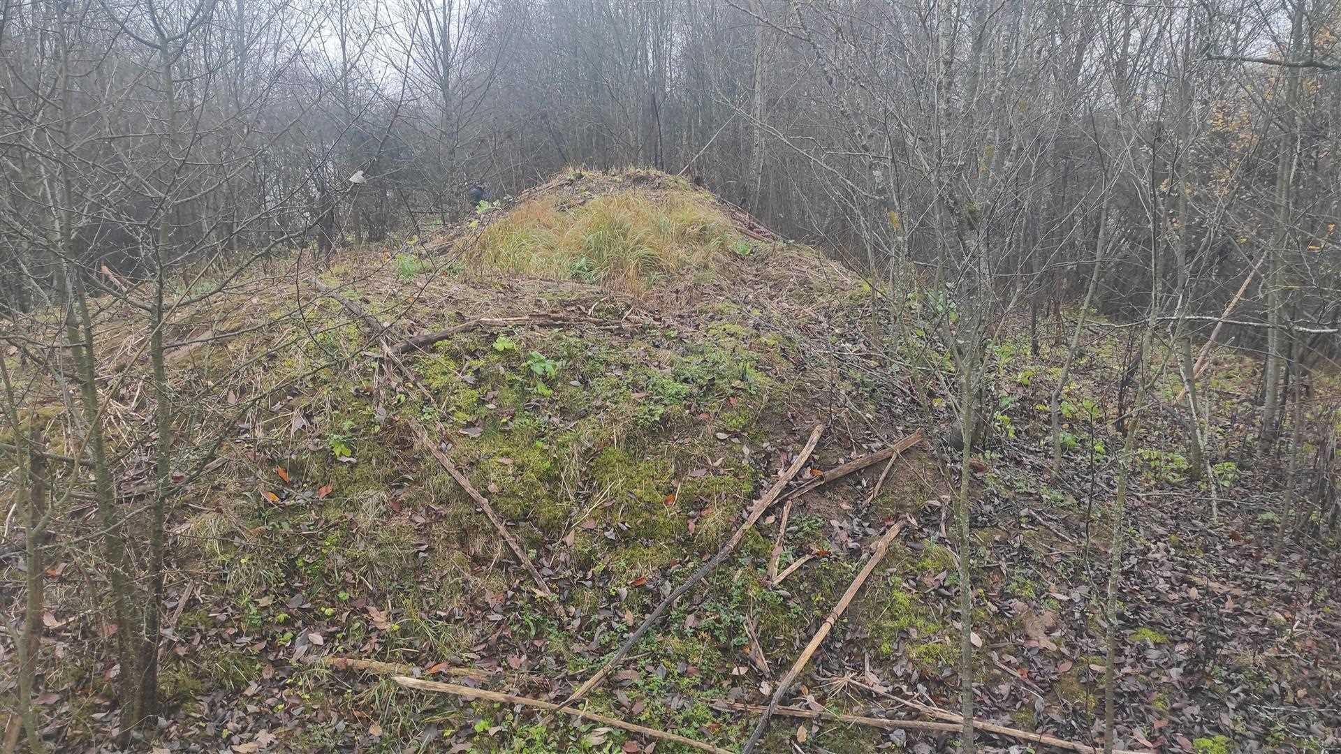 Курганны могільнік у аг. Вароны. Знешні выгляд помніка