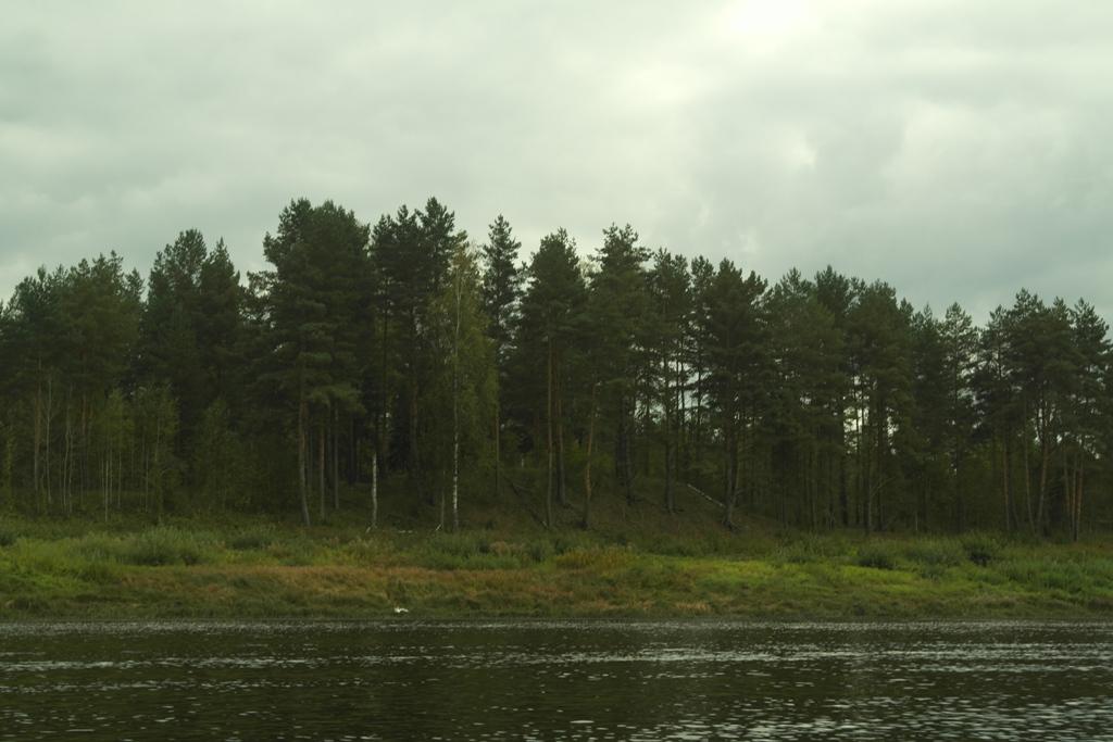 Агульны погляд на курганны могільнік