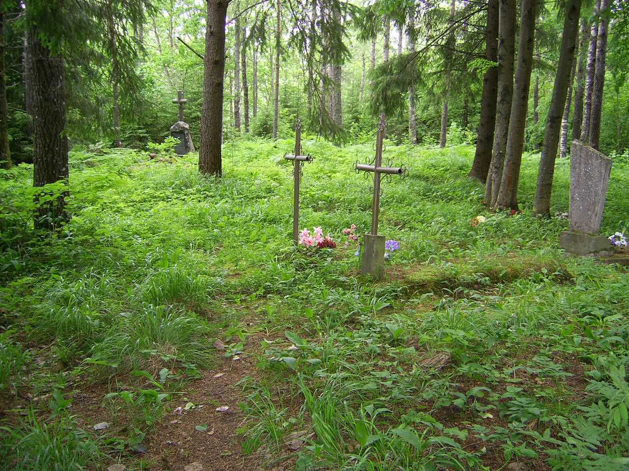 Паўднёва-заходняя частка пляцоўкі гарадзішча вёскі Бярозна  з сучаснымі пахаваннямі. 2014 г.