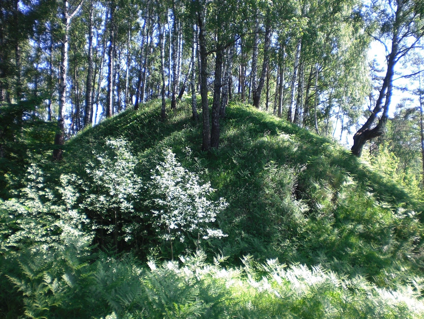 Гарадзішча вёскі Кулі, 2015 г.