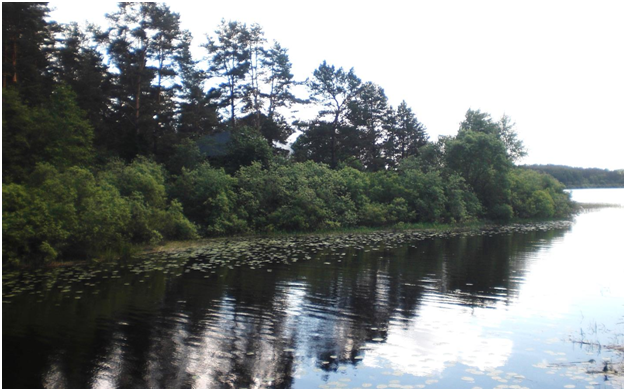 Від з боку возера Мяжа на бераг, дзе знаходзяцца стаянка-1 і стаянка-2