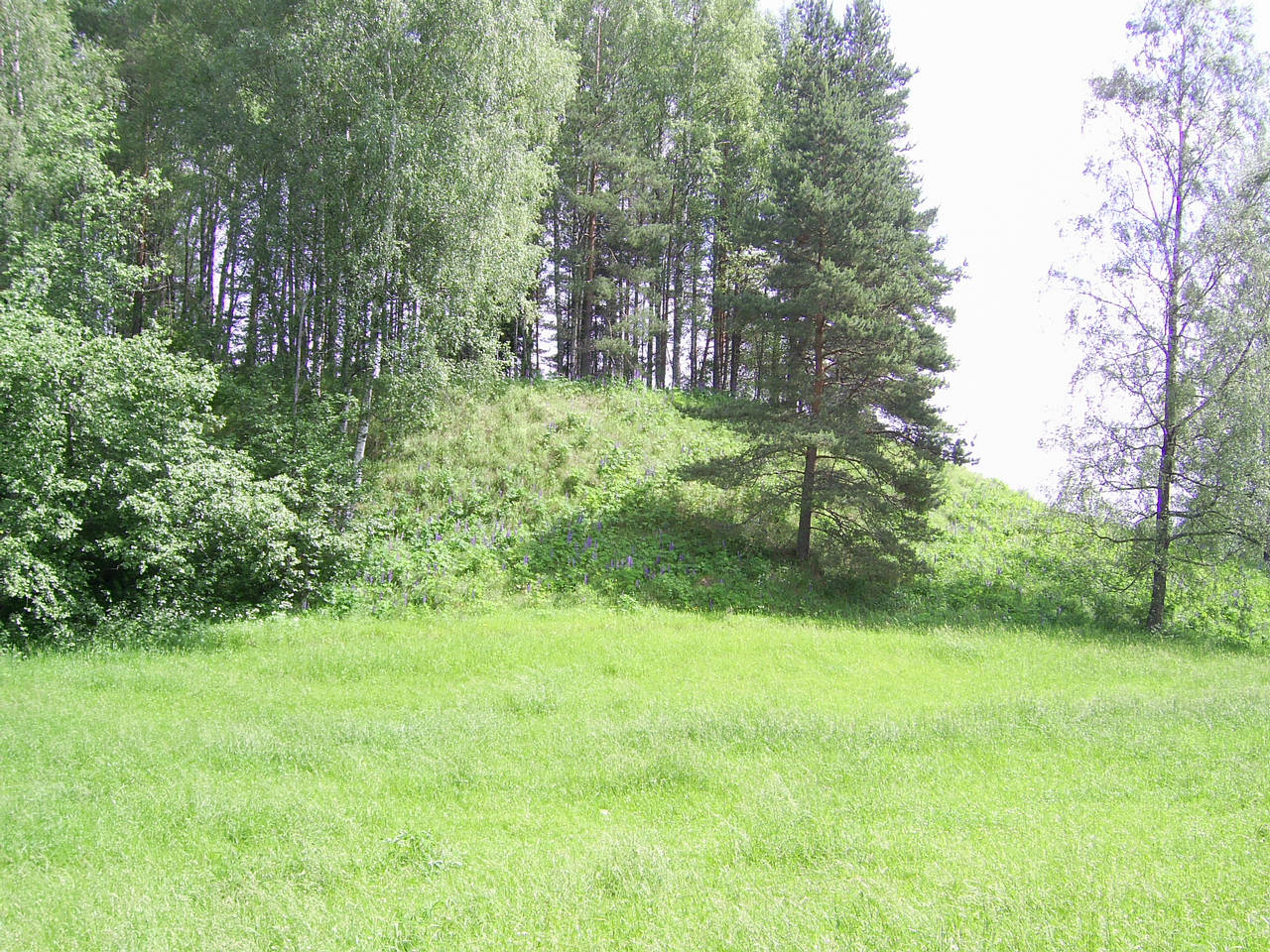 Гарадзішча Загорцы каля аграгарадка Сцяпанавічы, 2010 г.