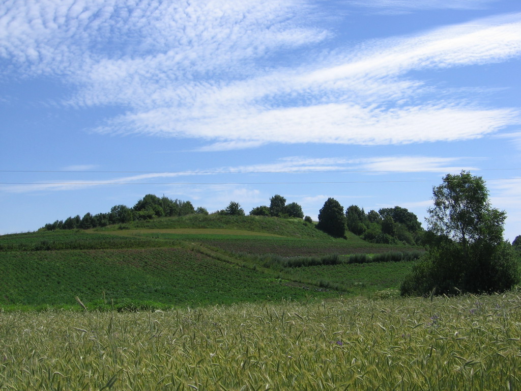 Гарадзішча з заходняга боку. 2011 г.