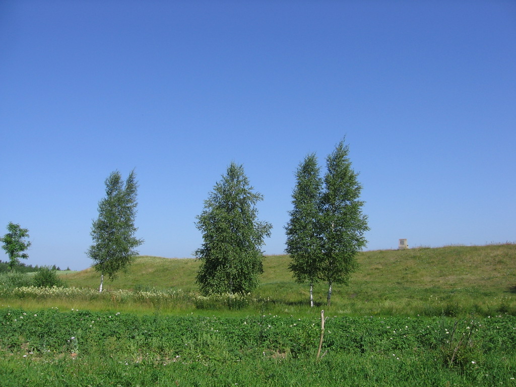 Гарадзішча з паўднёвага боку. 2011 г.