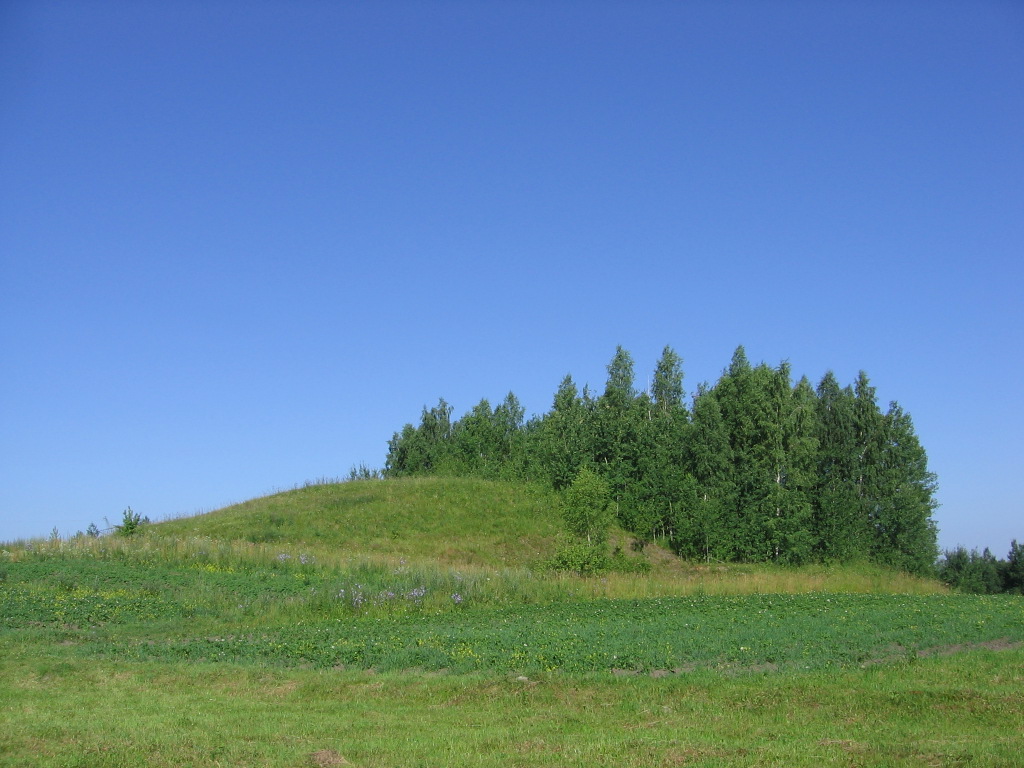 Гарадзішча з усходняга боку. 2011 г.