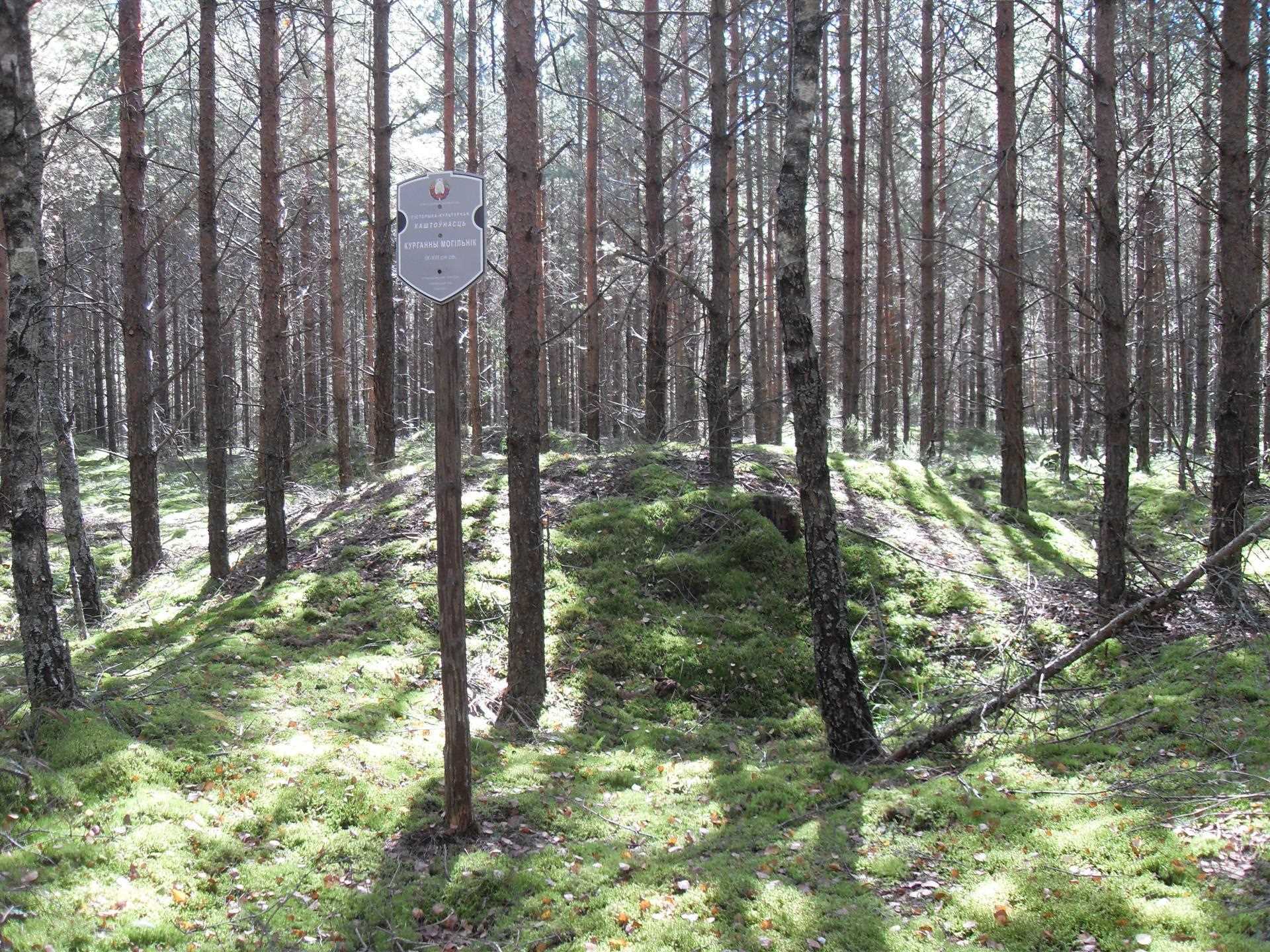 Курганны могільнік. Ахоўная дошка