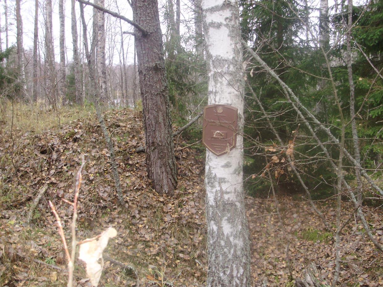 Курганны могільнік IX-XIII стст., 2008 г.