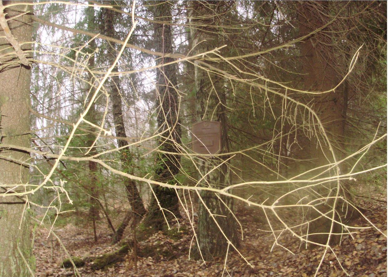 Гарадзішча перыяду ранняга жалезнага веку, 2008 г.