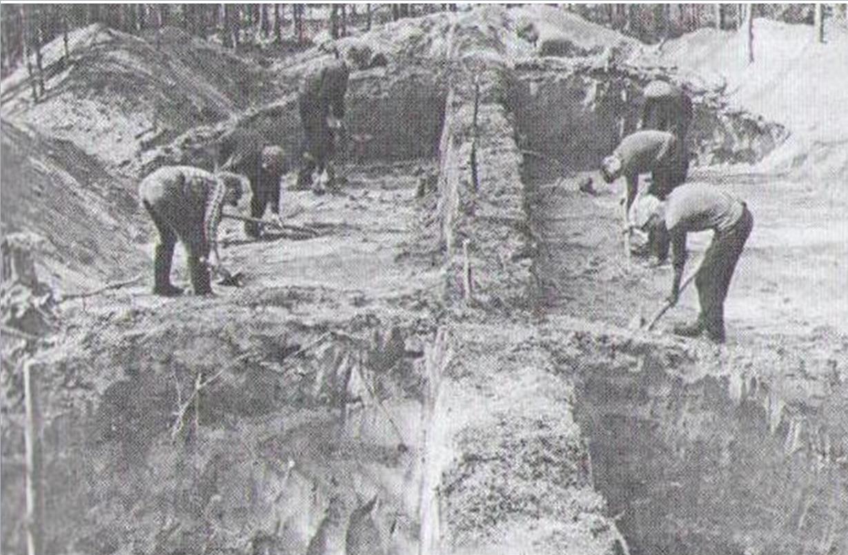 Раскопкі прадаўгаватага кургана, 1961 г.