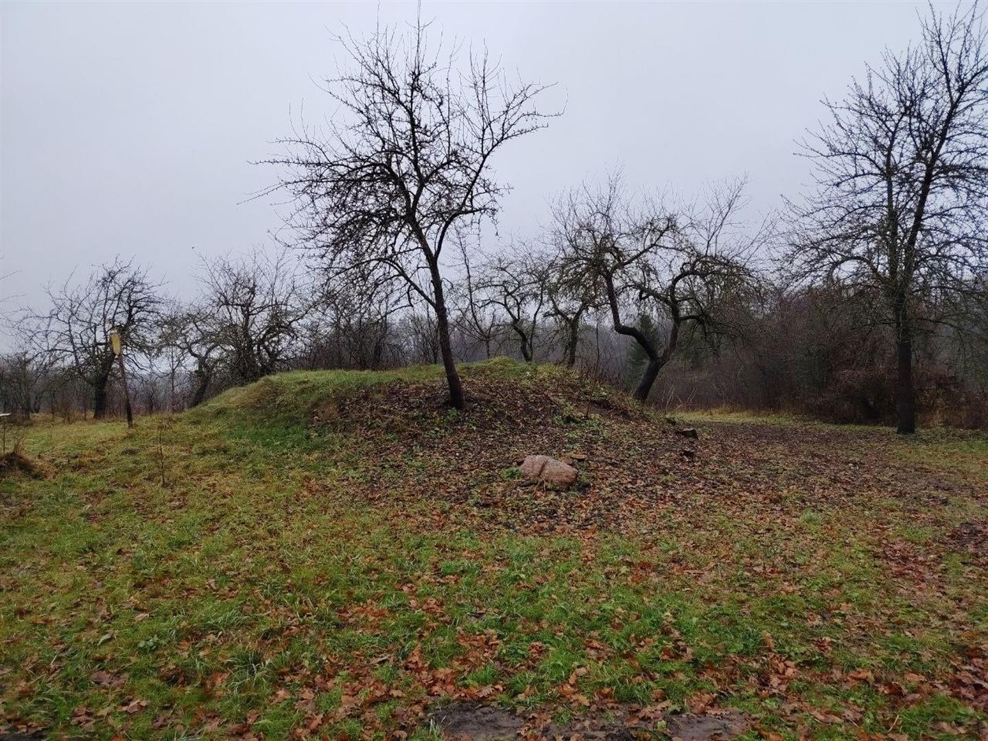 «Курганны могільнік-1 (2 насыпы)»: усходні насып, выгляд з поўдня (ад дарогі), па стане на лістапад 2025 г.