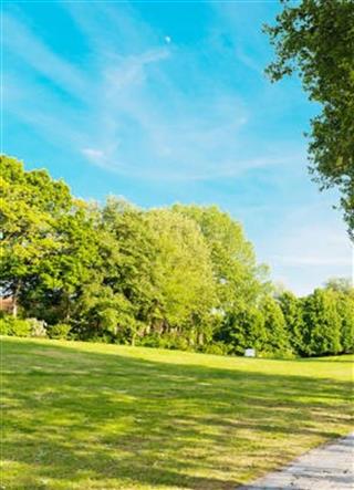 Комплекс былой сядзібы: фрагменты парку