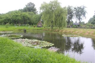 Комплекс аб’ектаў, звязаных з імем І.П. Сікоры: сад