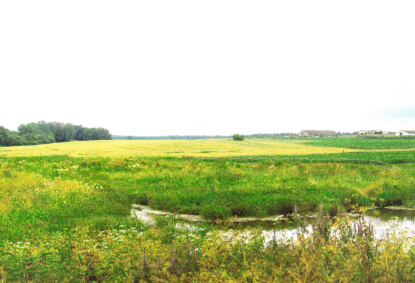 Селішча Касцяні-1. Выгляд селішча (фотаздымак з паўднёвага ўсходу)