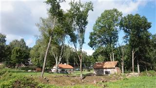 Былая сядзіба: парк