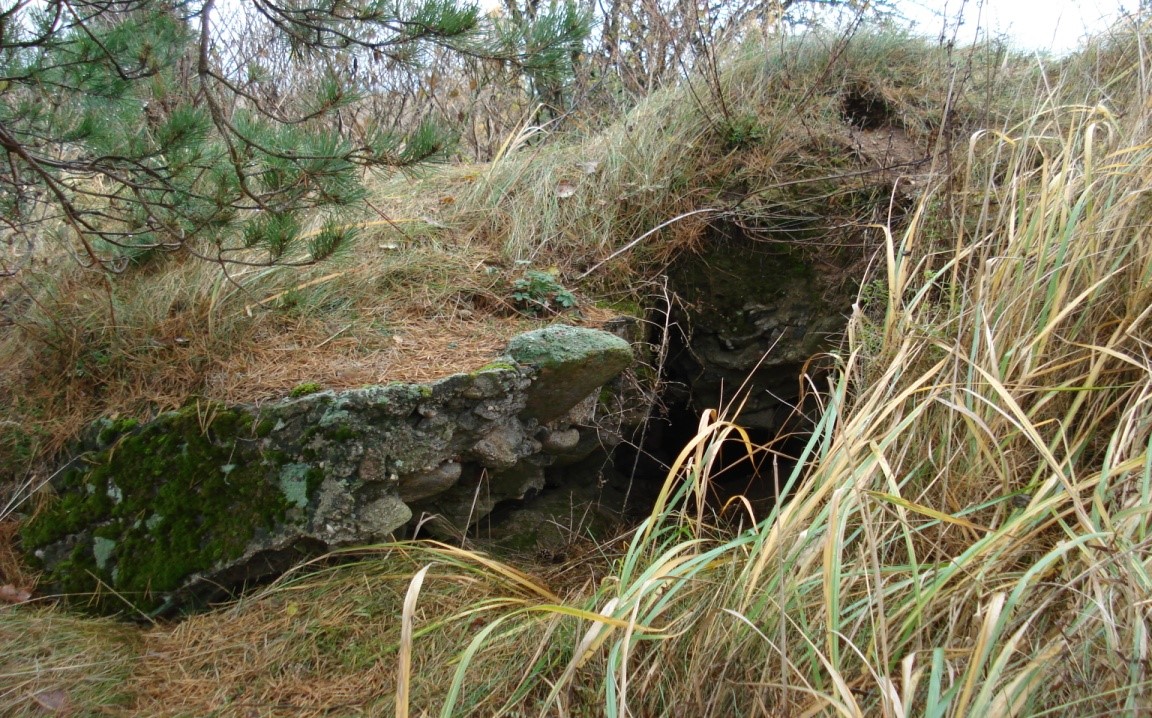 Рэшткі сховішча 4 фортавай групы № 11. Выгляд  з поўдня