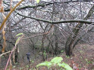 Фартыфікацыйныя збудаванні Гродзенскай крэпасці: гаржавы бліндаж фортавай групы № 13