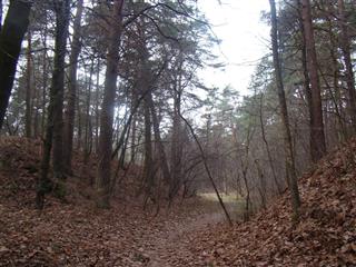 Фартыфікацыйныя збудаванні Гродзенскай крэпасці: земляны форт № 1