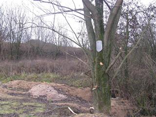 Фартыфікацыйныя збудаванні Гродзенскай крэпасці: земляны форт № 6