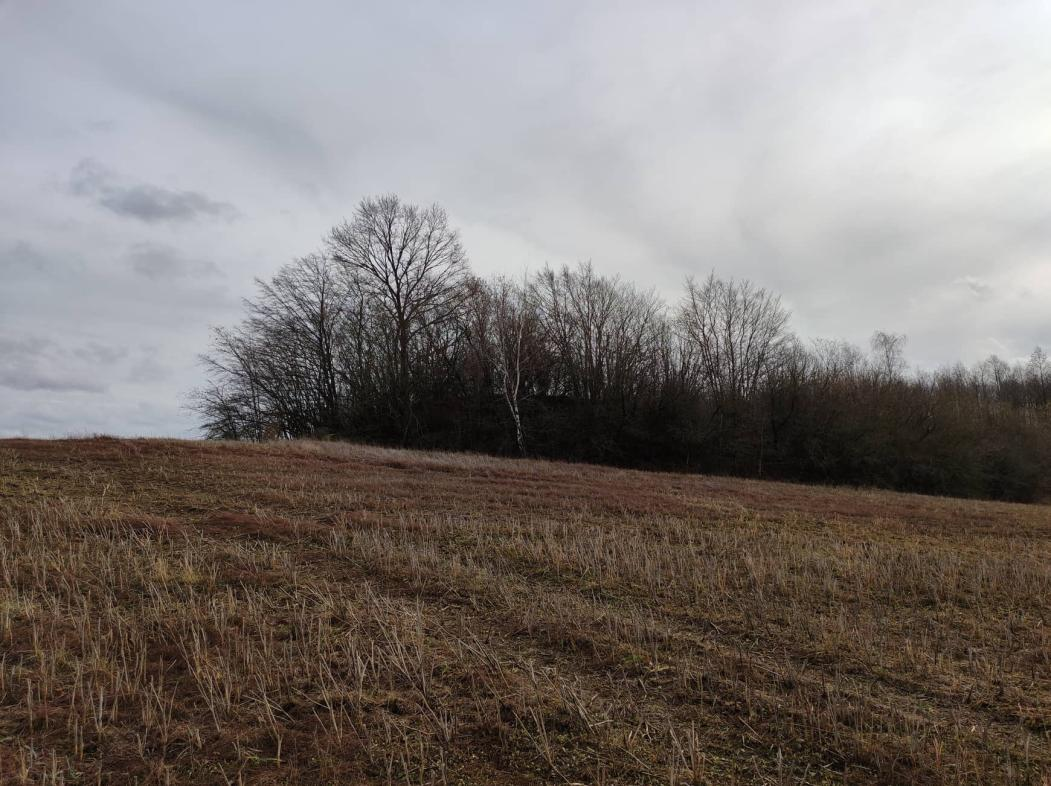 ГКК Шадзінцы. Выгляд з паўночнага ўсходу