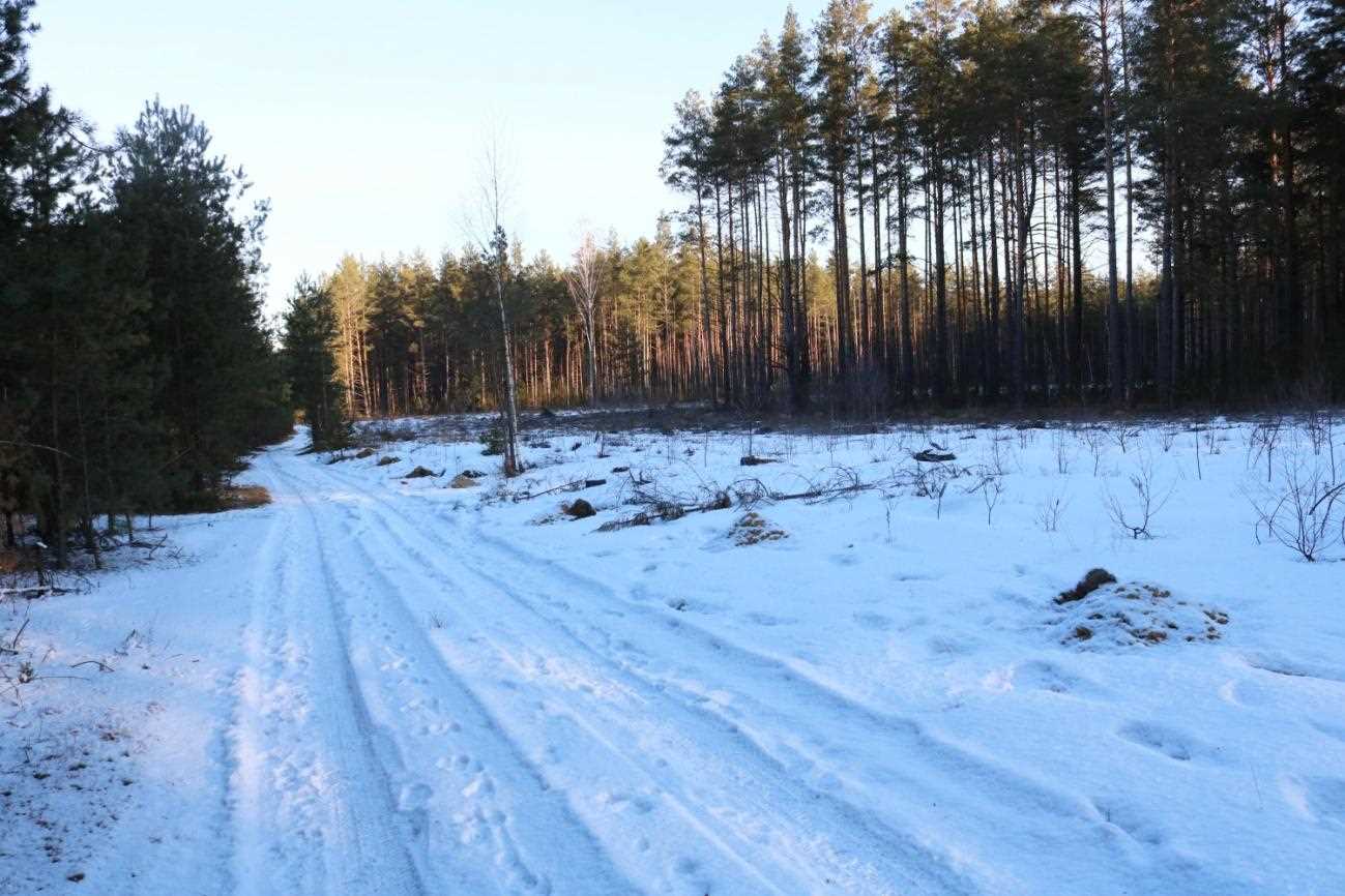 ГКК Ліхачы. Выгляд з поўдня