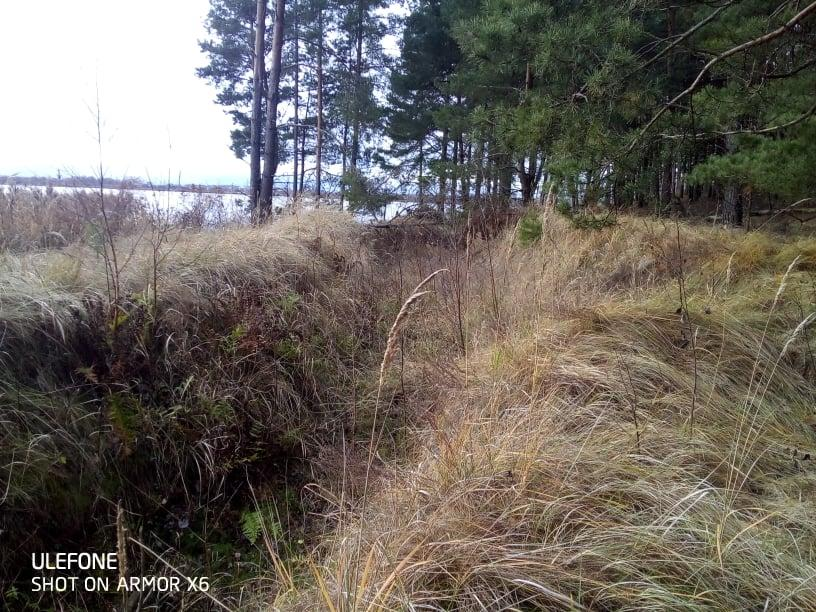 ГКК Селюкі. Выгляд з паўднёвага ўсходу