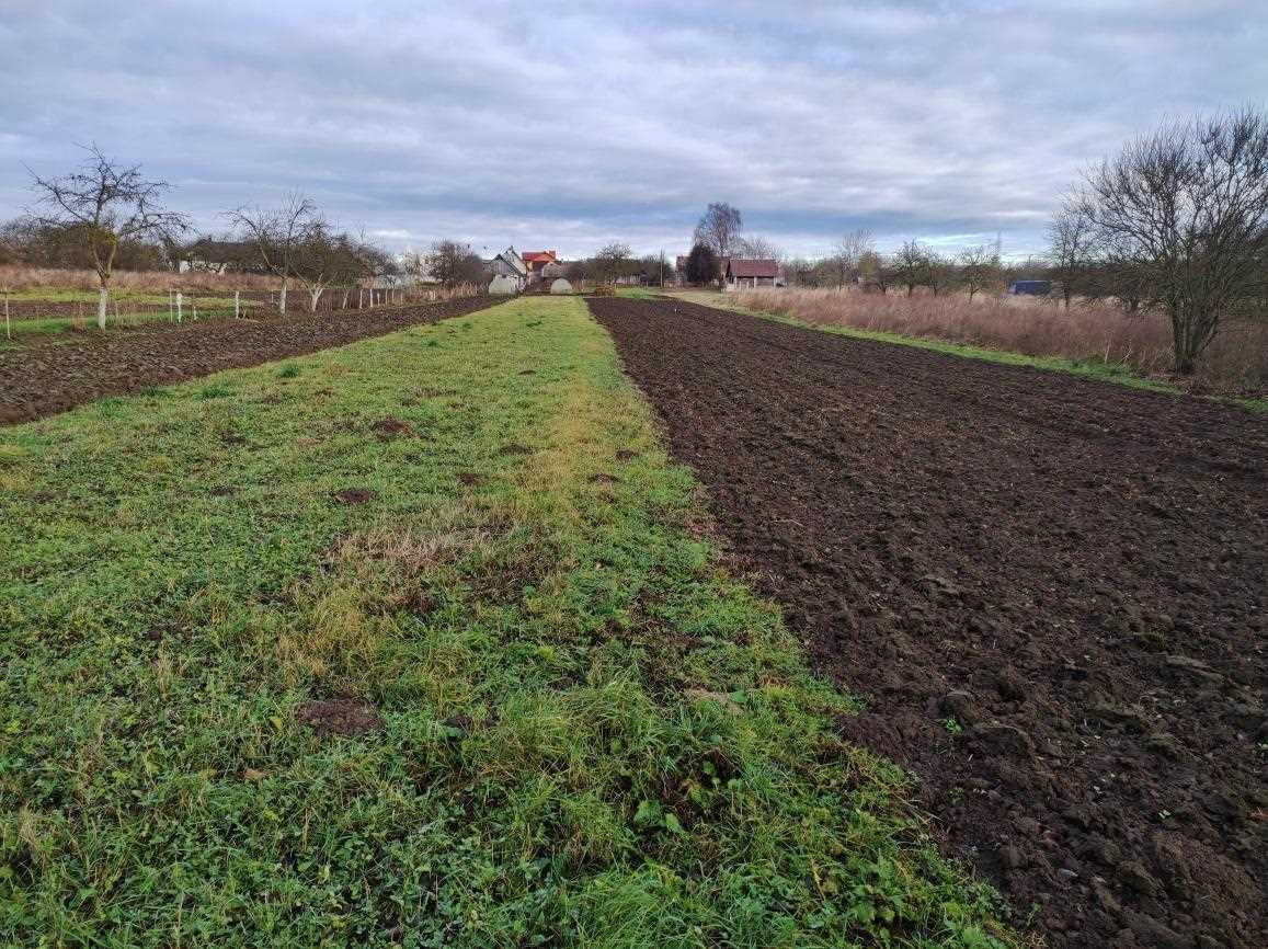 ГКК Шчачынова. Выгляд з поўдня