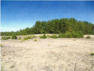 Стаянка перыяду каменнага і бронзавага вякоў - Нясілавічы 12