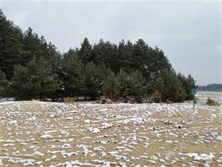 Стаянка перыяду каменнага і бронзавага вякоў - Нясілавічы 12