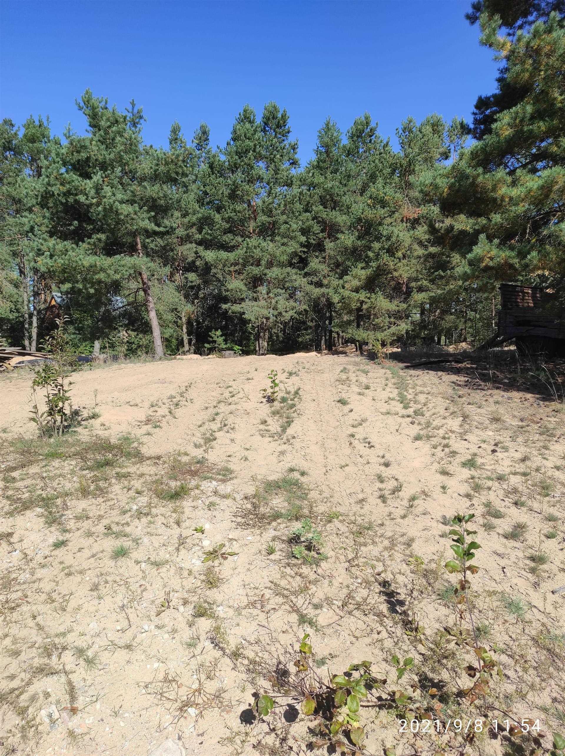 Стаянка каменнага і бронзавага вякоў, в. Гнесічы. Выгляд з поўначы