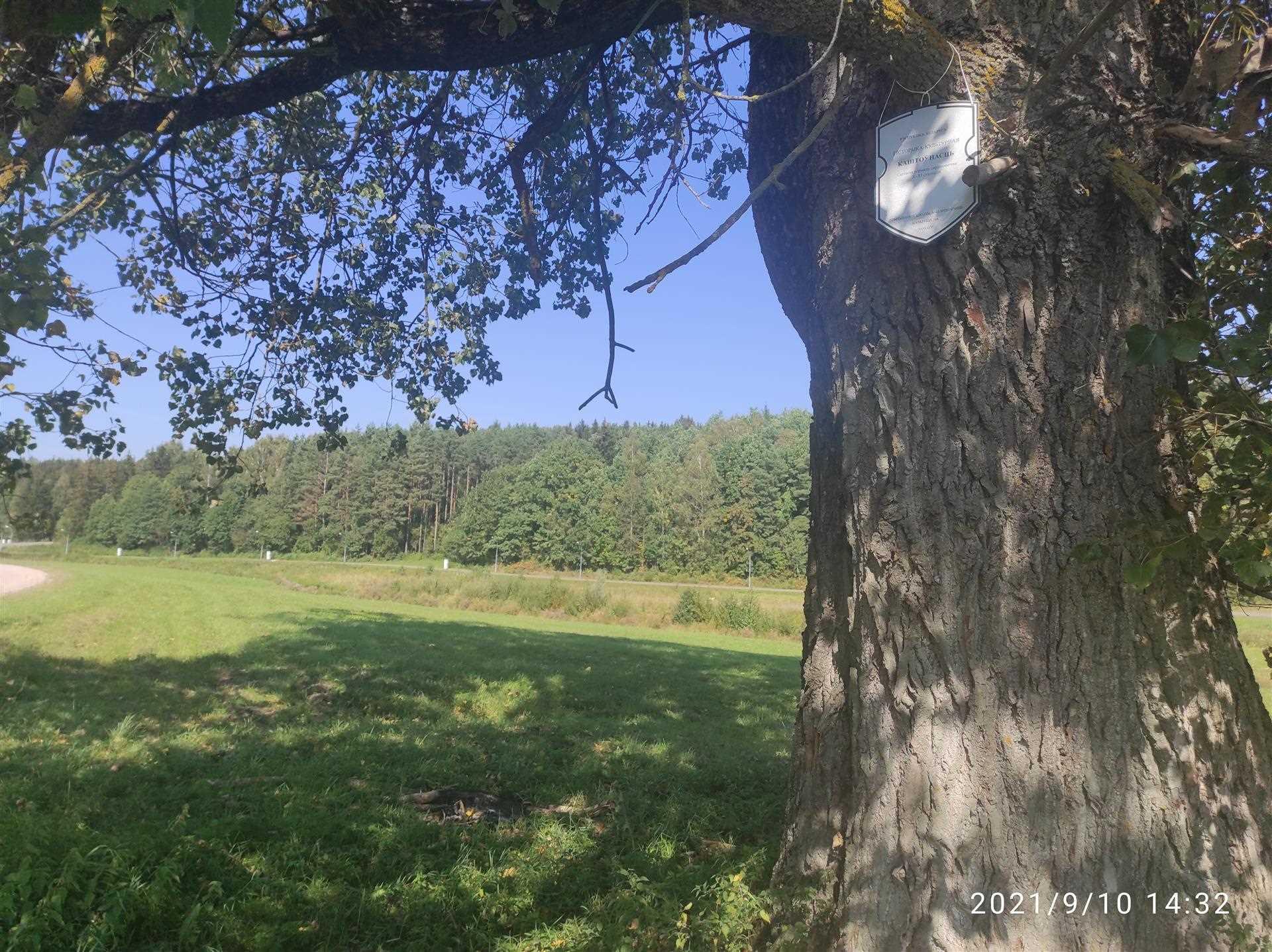 Ахоўная дошка на селішчы перыяду сярэдневечча