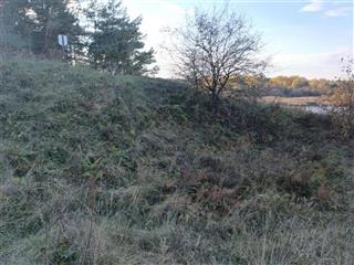 Селішча Косаўскі тракт-2