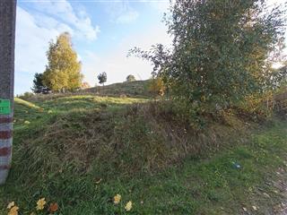 Археалагічны комплекс: гарадзішча Слонім-Рышчыцы-2