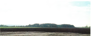 Археалагічны комплекс "Прырэчча": стаянка-1