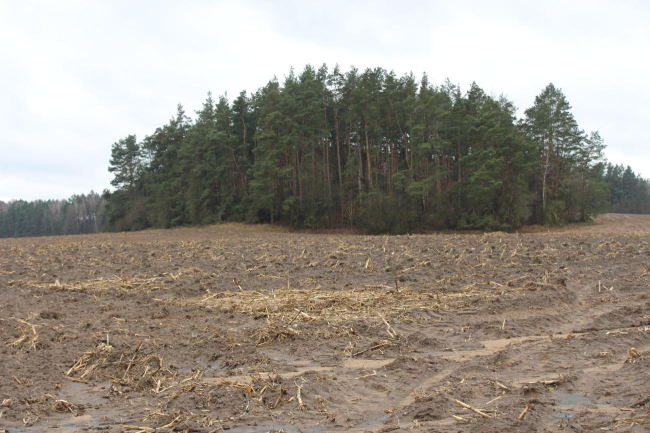 ГКК Пушкары. Выгляд з паўночнага ўсходу