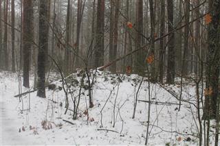 Курганныя могільнікі ранняга сярэднявечча: курганны могільнік-2