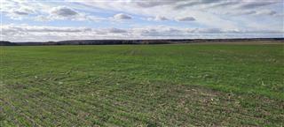 Археалагічныя помнікі: бескурганны могільнік перыяду ранняга жалезнага веку, ранняга сярэднявечча